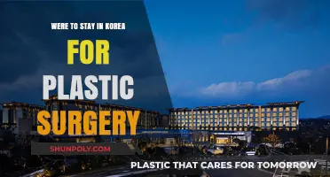 Top Korea Accommodations for Plastic Surgery Recovery and Comfort