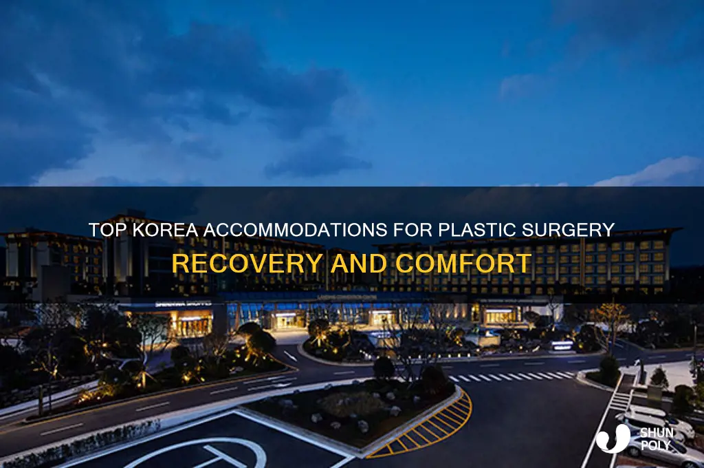 were to stay in korea for plastic surgery
