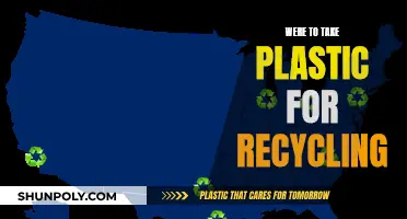 Recycling Plastics: Where to Take Them for Proper Disposal
