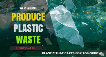 Plastic Pollution: Rivers Choking on Plastic Waste