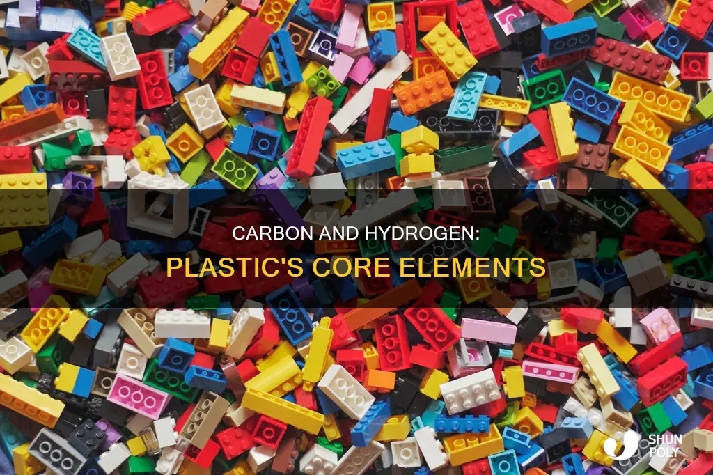 what 2 main elements are in plastic