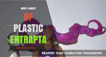 How Entrapped Plastic Wastes Our Planet