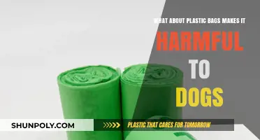 Plastic Bags: Hidden Dangers to Dogs and How to Prevent Harm
