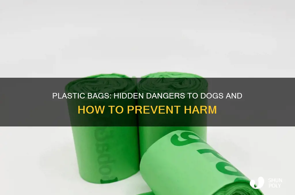 what about plastic bags makes it harmful to dogs