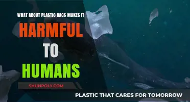 Plastic Bags: Hidden Dangers to Human Health and Environment