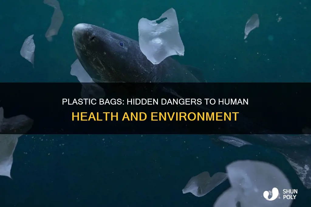 what about plastic bags makes it harmful to humans