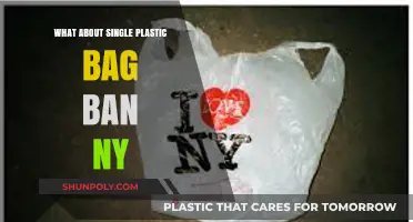 NY's Single-Use Plastic Bag Ban: Impact, Alternatives, and Sustainability