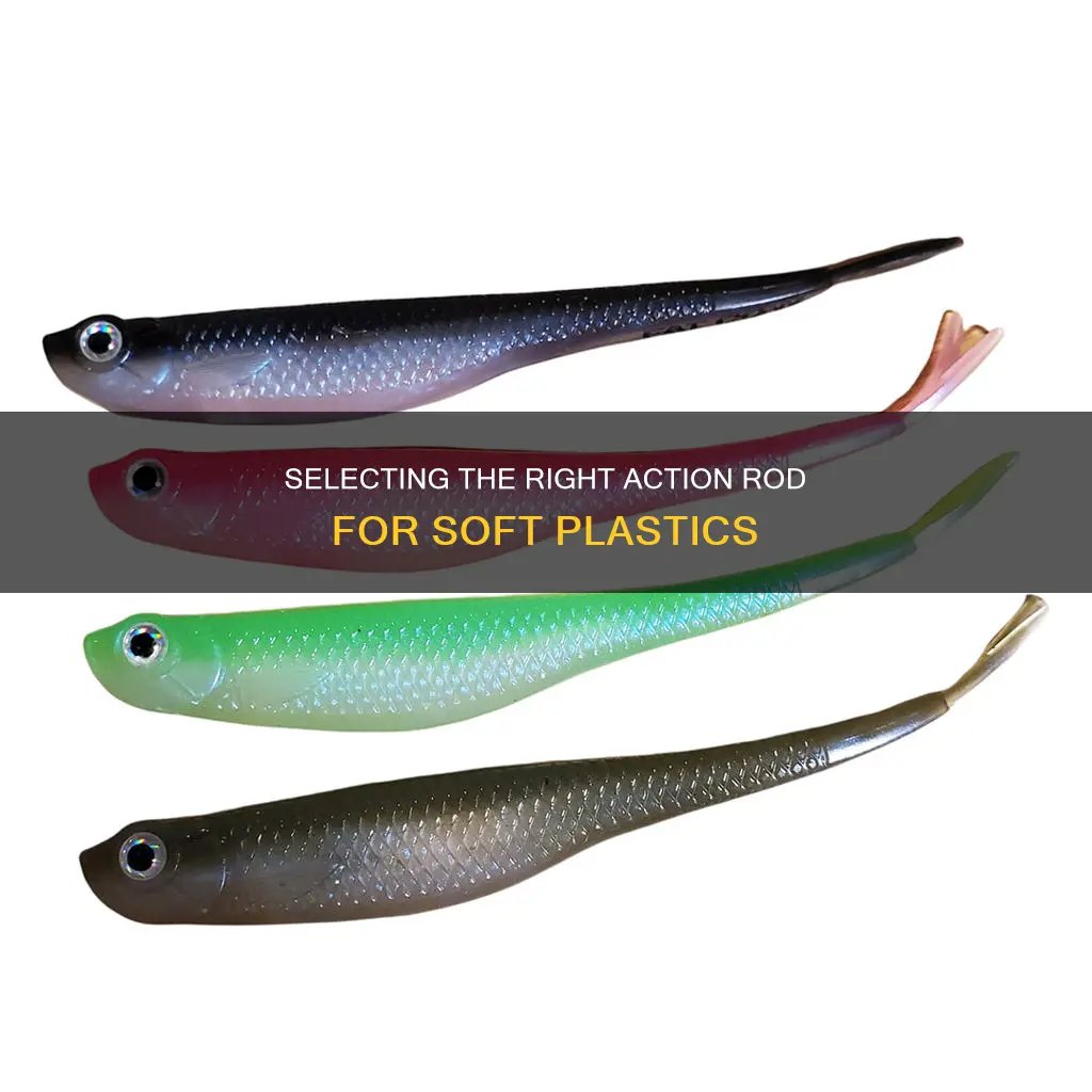 what action rod for soft plastics