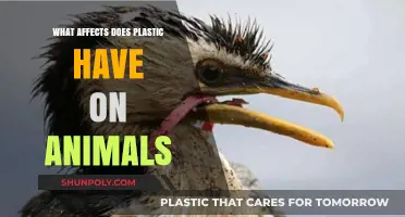 Plastic Impact: Devastating Effects on Animals