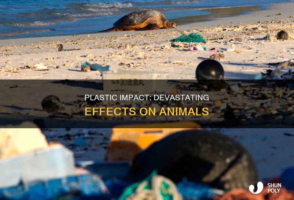 what affects does plastic have on animals