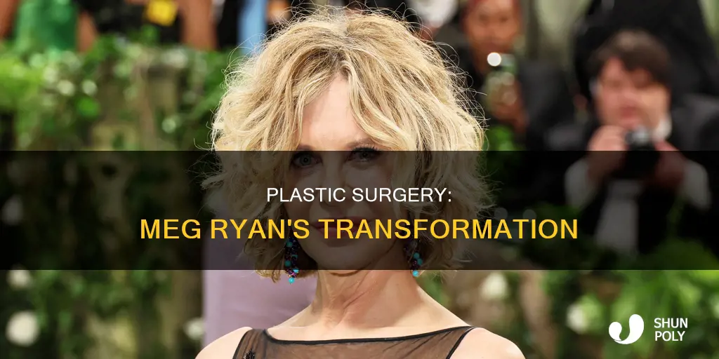 what age did meg tyan have plastic