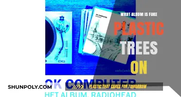 Fake Plastic Trees: The Album and Its Legacy