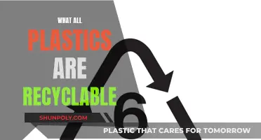 Understanding Plastics: Which Types Are Recyclable?