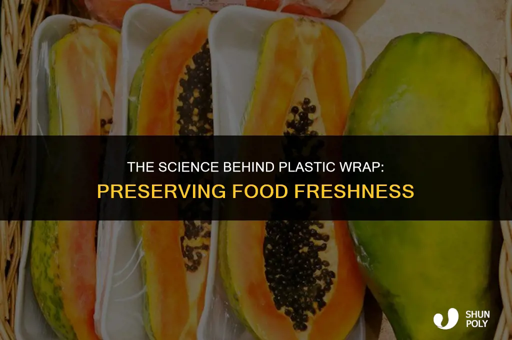 what allows plastic wrap to keep food fresh