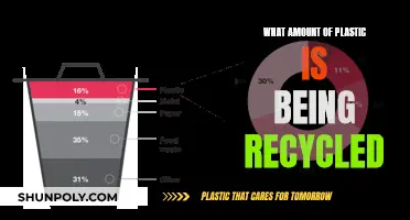 The Plastic Recycling Reality Check