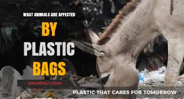 Plastic Bags' Deadly Impact: Animals Affected by Pollution Crisis