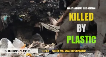 Plastic's Deadly Impact: Animals Perishing in the Pollution Crisis