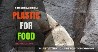 Plastic Pollution: Animals' Deadly Diet