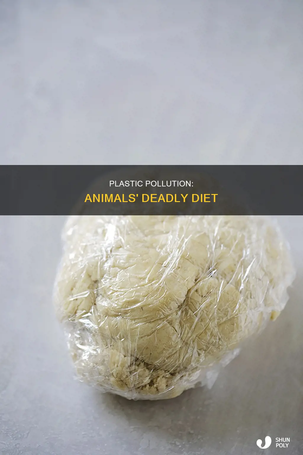 what animals mistake plastic for food