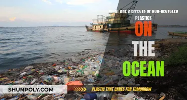 Ocean's Plastic Crisis: Devastating Impacts of Non-Recycled Plastics