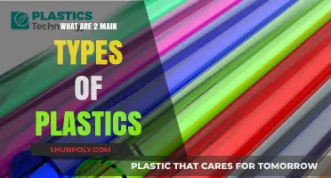 Understanding Plastic: The Two Main Types