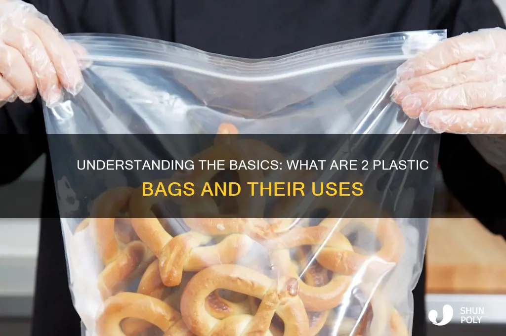 what are 2 plastic bags