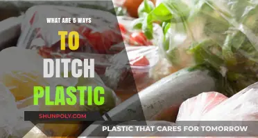 Smart Ways to Ditch Plastic for Good