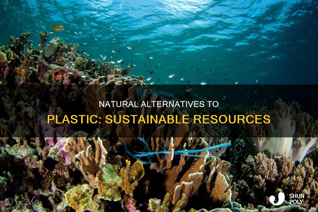 what are a natural resource for plastic