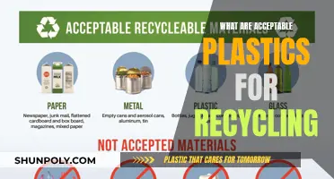 Recycling Plastics: What Types Are Safe to Recycle?