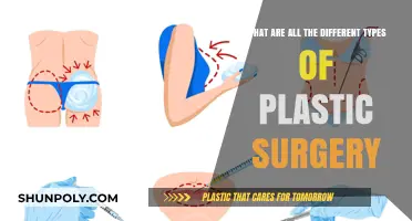 Exploring the Diverse World of Plastic Surgery Procedures and Types
