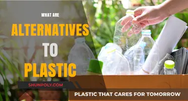 Sustainable Alternatives to Plastic: Exploring Eco-Friendly Options