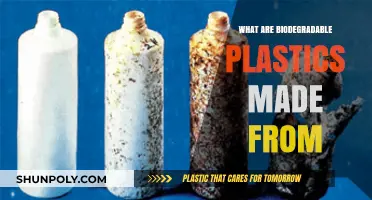 Understanding Biodegradable Plastics: Materials, Sources, and Eco-Friendly Composition