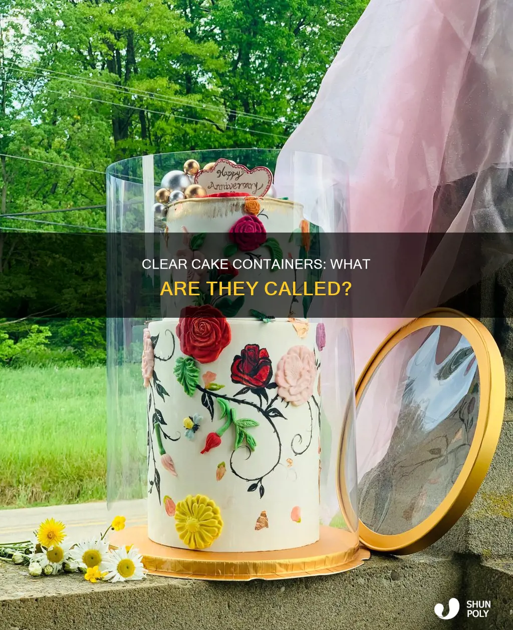 what are clear plastic cake containers called
