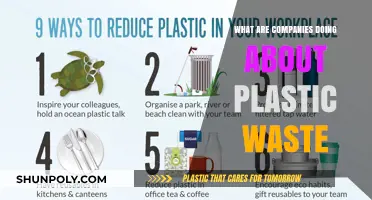 How Companies Are Tackling Plastic Waste