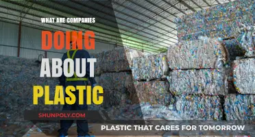How Companies are Tackling Plastic Pollution