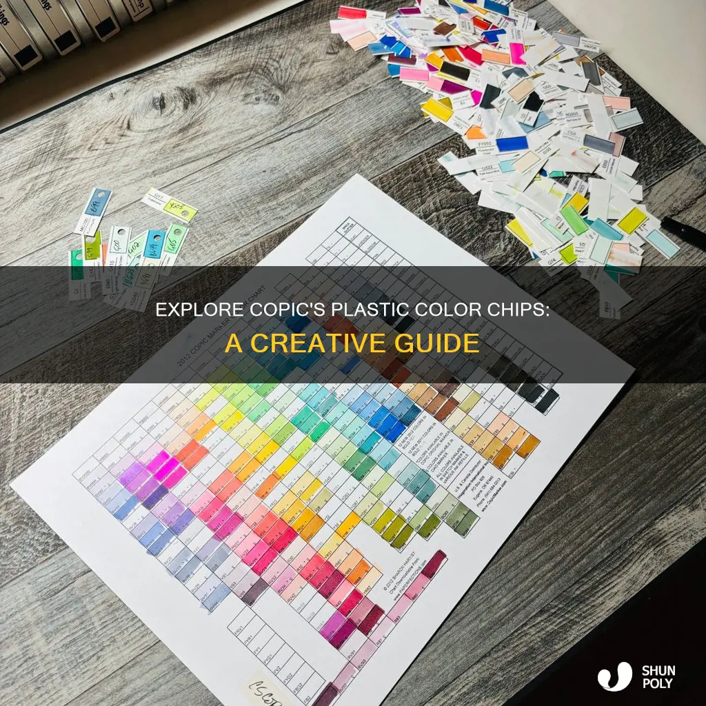 what are copic plastic color chips
