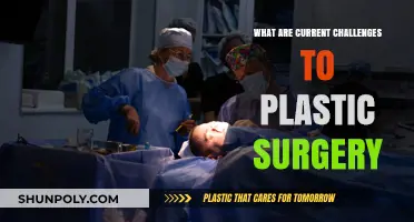 Navigating Modern Plastic Surgery: Key Challenges and Patient Concerns