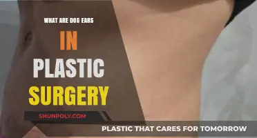 Understanding Dog Ears in Plastic Surgery: Causes, Prevention, and Solutions