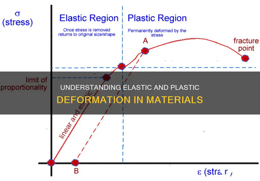 what are elastic and plastic bodies