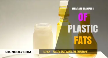 Plastic Fats: Examples of Harmful Food Additives