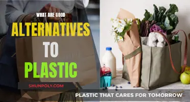 Green Swaps: Eco-Friendly Alternatives to Plastic for a Greener Tomorrow