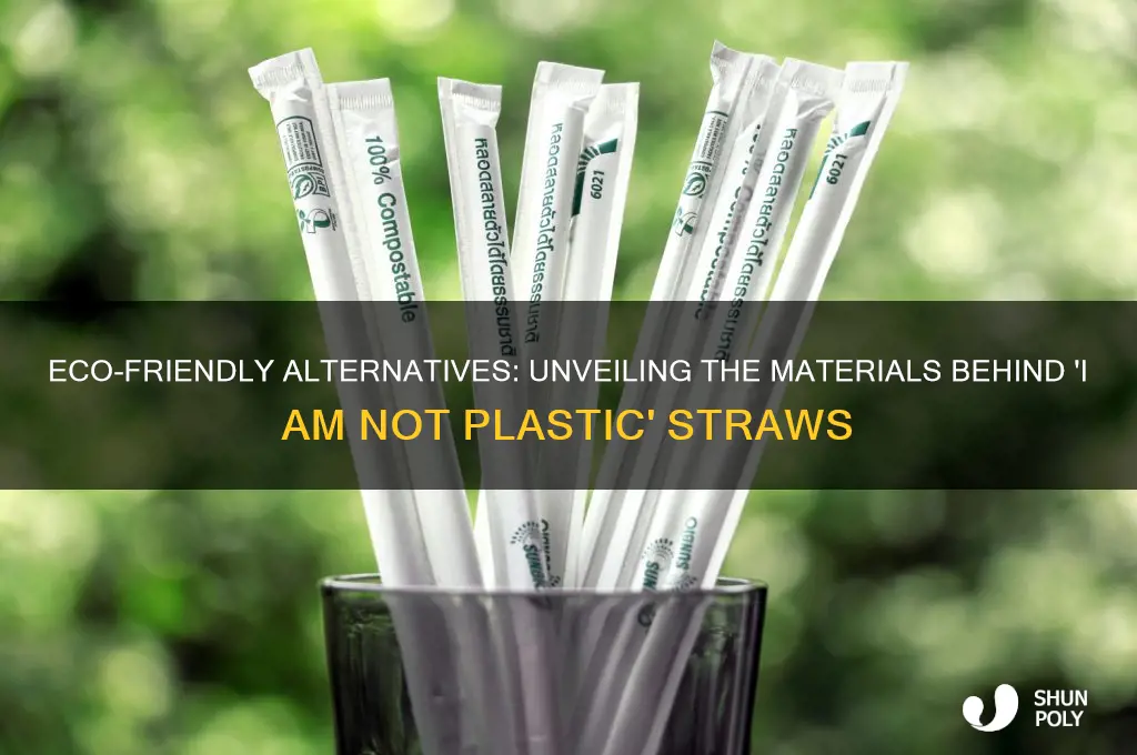what are i am not plastic straws made of