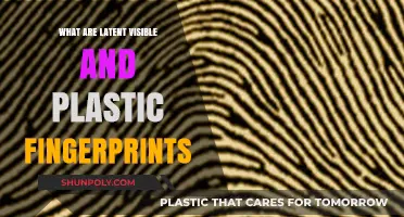 Visible, Latent, and Plastic: Understanding Fingerprint Impressions