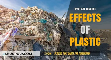 Plastic's Dark Side: Harming Our Planet and Health