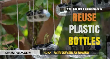 Innovative Bottle Upcycling: Creative Ways to Reuse Plastic Bottles