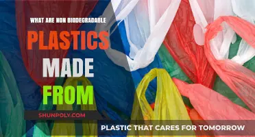 Understanding Non-Biodegradable Plastics: Materials, Sources, and Environmental Impact
