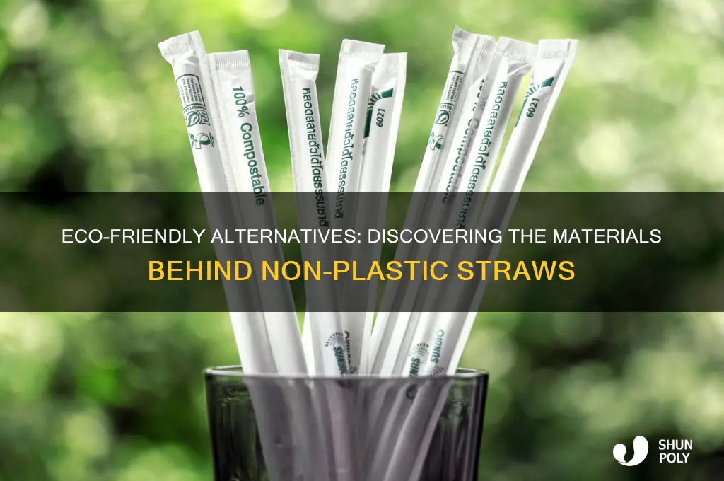 what are non plastic straws made of