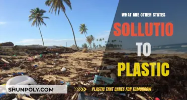Global Solutions to Plastic Pollution