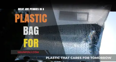 Pennies in a Plastic Bag: Uncovering the Surprising Uses and Myths