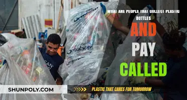 Plastic Bottle Collectors: Who Are These Eco-Friendly Entrepreneurs?